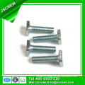 Special Head Machine Screw Anti-Theft Screw